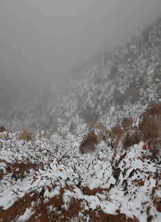 In pics: Saudi Arabian desert receives rare snowfall