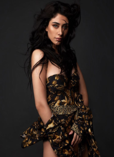 Meet the talented & gorgeous Bollywood actress Warina Hussain...