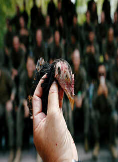 Thailand: Stunning pictures from Cobra Gold multilateral military exercise 