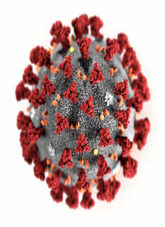 In Pictures: Up close with the coronavirus...