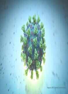  In photos: Up-close with the coronavirus