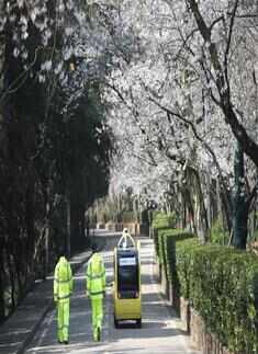 Spring: Stunning pictures of flowers blooming around the world