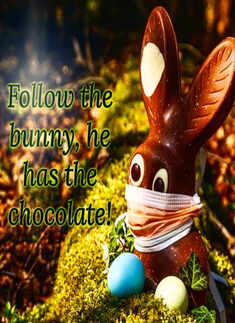 Pictures of Easter Bunnies spreading awareness during the Covid-19 outbreak are too cute to be missed!