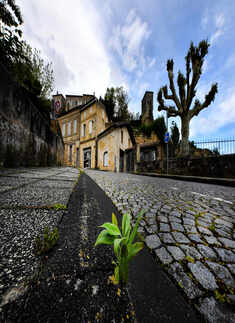 In the midst of lockdown, breath-taking pictures of our mother nature prove that we humans are the real culprits!