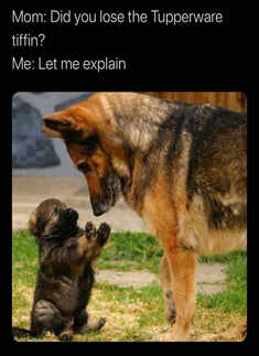 Mother&rsquo;s Day special: Hilarious memes, which all the super moms would relate to!