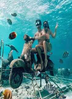 These mind-blowing underwater pictures will calm your mind during lockdown 4.0
