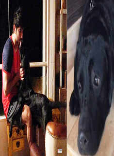 These adorable pictures of Sushant Singh Rajput with his pet dog will surely leave you teary-eyed!