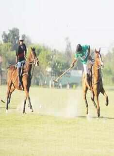 Finals: 'Harry Winsten...' 