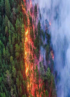 Wildfires in Siberia burn an area larger than Greece
