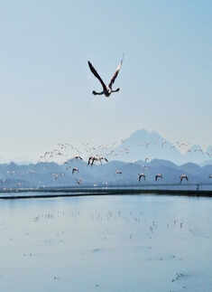World Photography Day: Some beautiful colours our Mother Nature showed us while we were locked inside our house