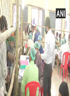 Election: BJP supporters start celebration as NDA leads in Bihar
