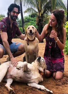 New picture from Varun Dhawan and ladylove Natasha Dalal's Goa trip is too cute to miss!