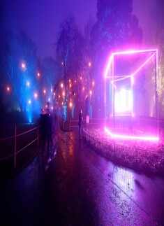 Pictures of cities around the world lit up during Christmas season