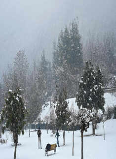 Kashmir, Himachal receive fresh snowfall