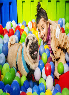 Pooches come together with their hoomans at this paw party