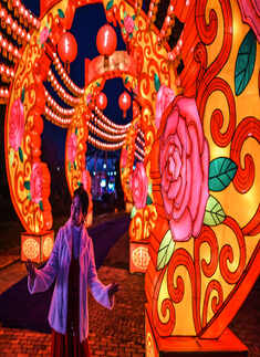 Lunar New Year celebrated amid pandemic