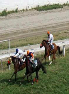 Goodbye Cup at Race Course