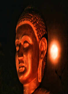 Spectacular pictures of "Super Blood Moon" go viral