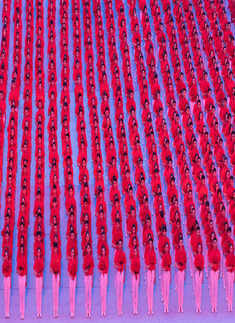 China's Communist Party turns 100