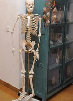 'Medical Dream Time' art exhibition