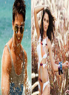 After Ranbir, Angela eyes Shahid!