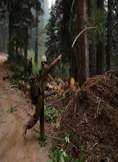 These pictures capture the intensity and severity of California wildfires