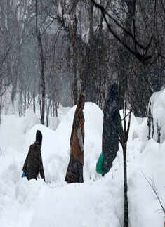 Tourists enjoy fresh snowfall in Kashmir; see pics