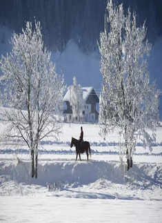 These pictures from winter wonderlands will leave you mesmerised!