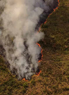 Argentina wildfire engulfs 500,000 hectares; see pics