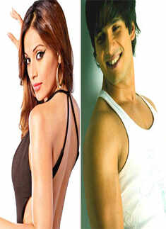 Shahid Kapoor, Bipasha Basu break up!