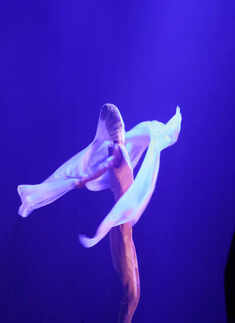 Stellar dance performances impress Kolkata audience