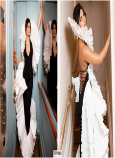 Priyanka Chopra wows in black and white dramatic ruffled gown, stunning pictures make jaws drop