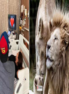 Alia Bhatt and Ranbir Kapoor announce pregnancy with these adorable pictures