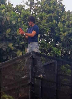 Pictures of Shah Rukh Khan and AbRam greeting fans go viral; netizens call it &lsquo;Perfect Eidi&rsquo;