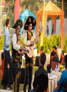 It was a Dog's Day in Goa