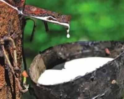 natural rubber buyers in europe