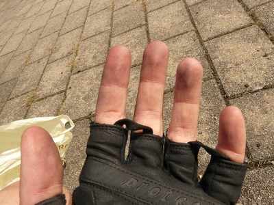 riding gloves under 500