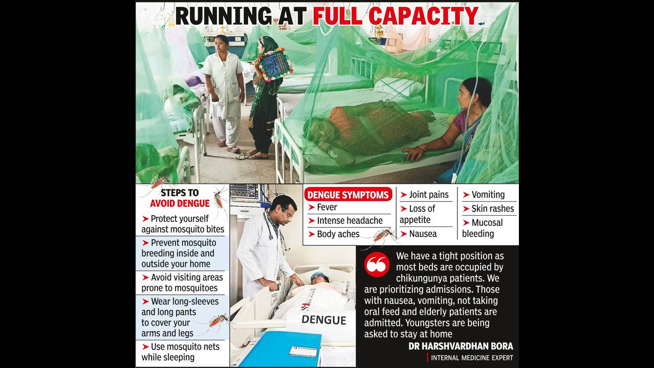 Dengue Cases Surge: Dengue Cases Surge in Nagpur Hospitals | Nagpur News -  Times of India