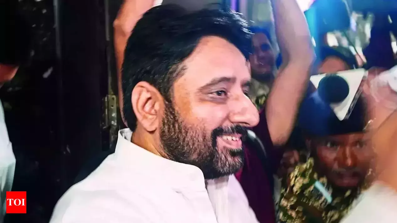 Aam Aadmi Party MLA Amanatullah Khan Files Anticipatory Bail Plea in Fresh FIR