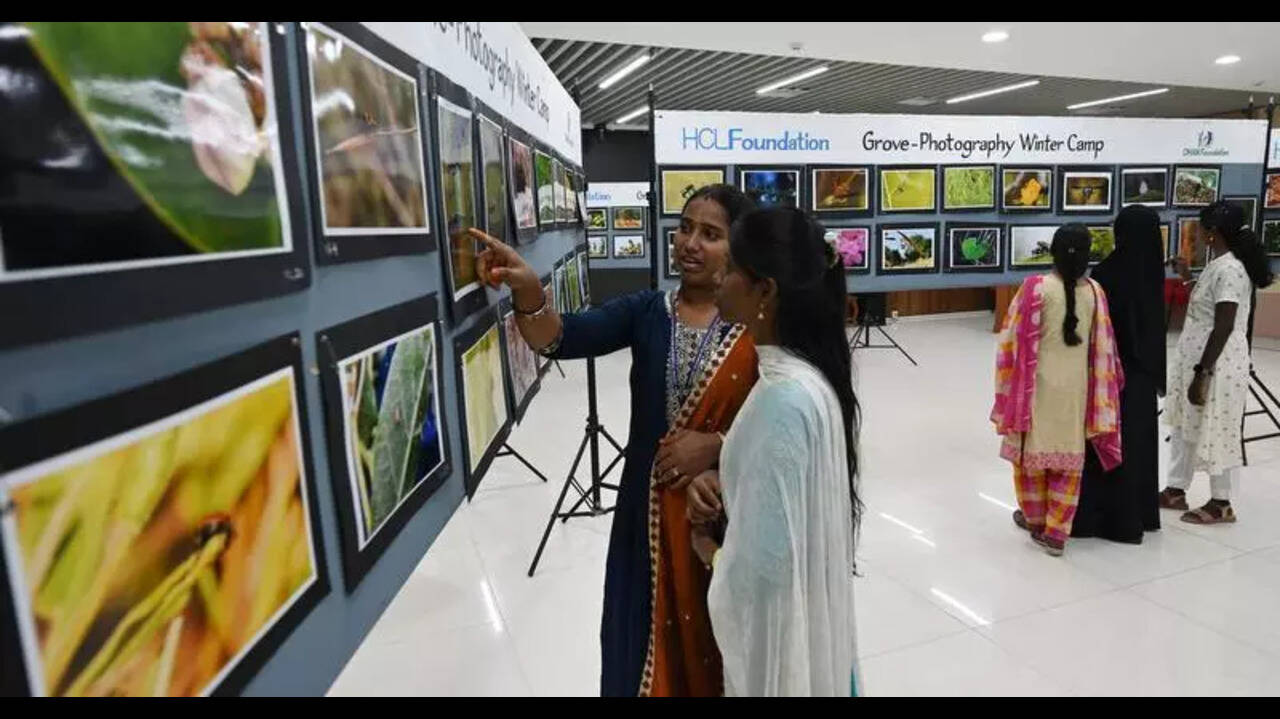 Locals get glimpse of Madurai’s man-made forest