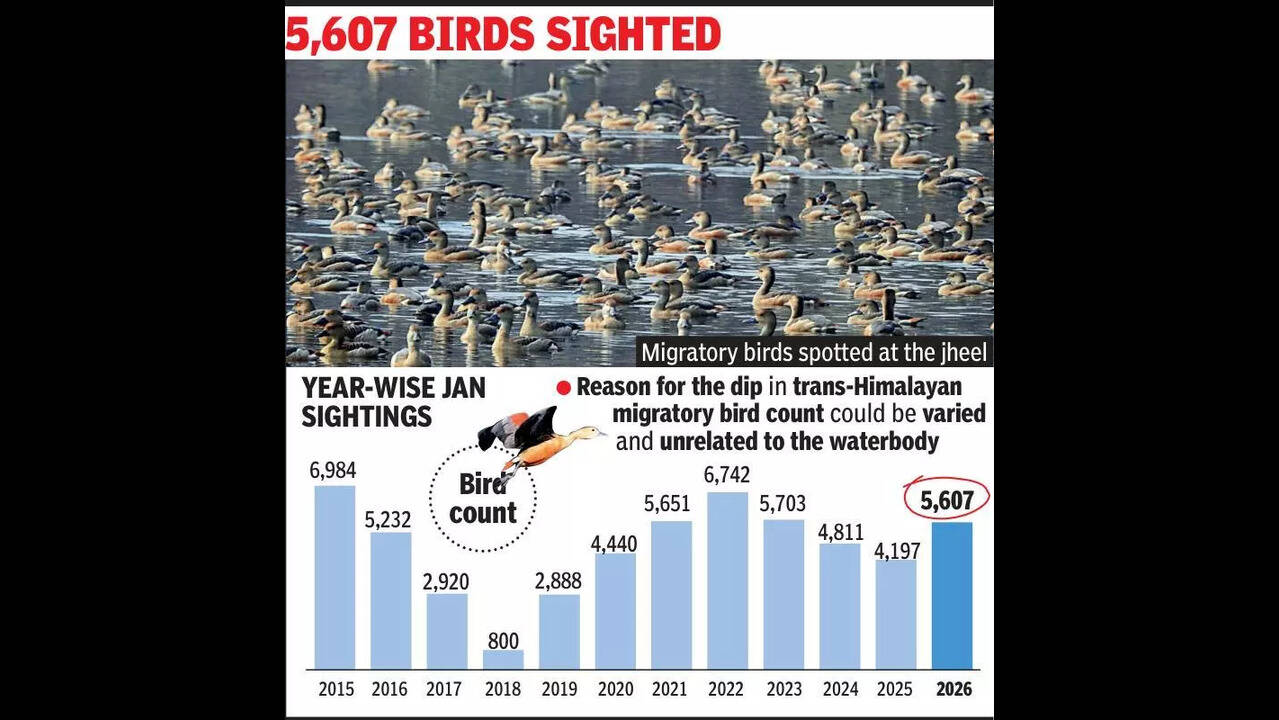 Santragachhi bird count up but no. of trans-Himalayan visitors
