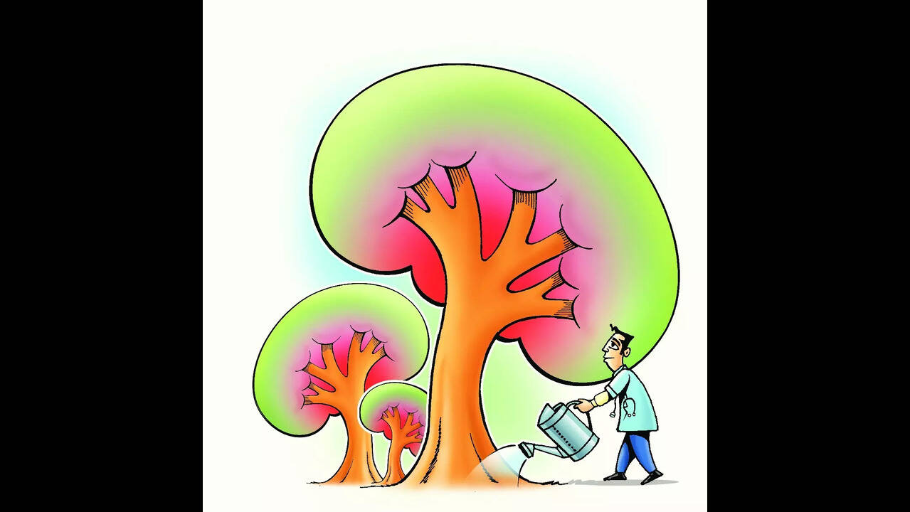 Kidney Care in India: Integrating Prevention, Transplantation, and Sustainable Dialysis | Quick Digest