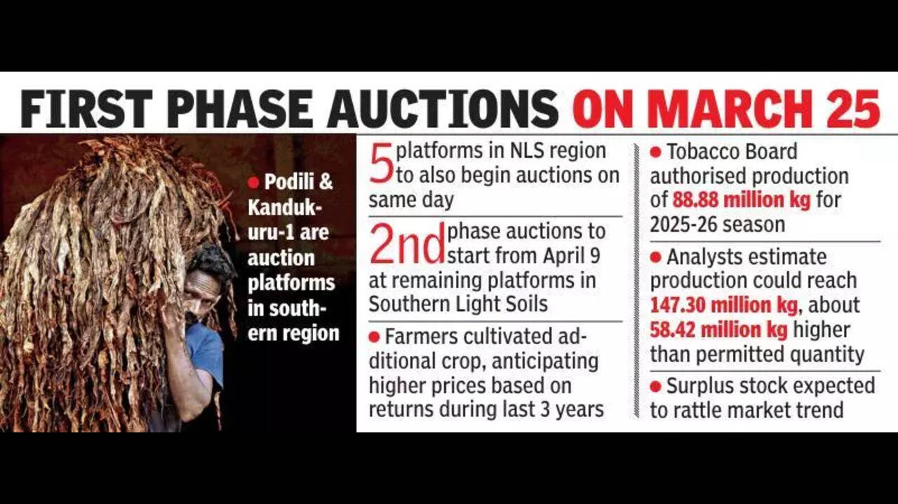 Low demand, high supply: AP tobacco farmers stare at losses ahead of  auction season | Vijayawada News