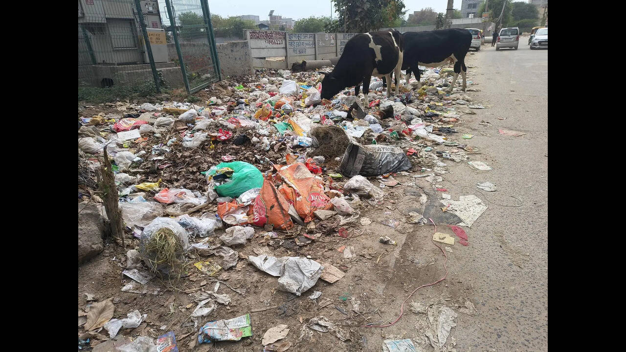 MCG to hire agency to transport waste to Bandhwari landfill for 4 months