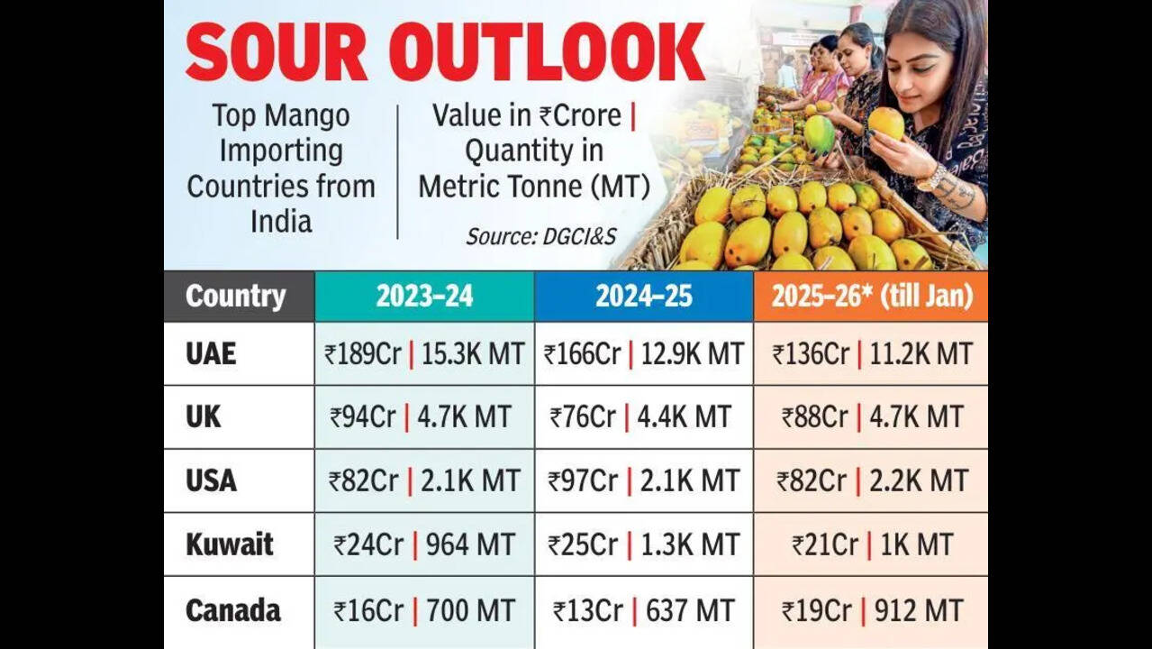Mango exports decline as war disrupts trade routes
