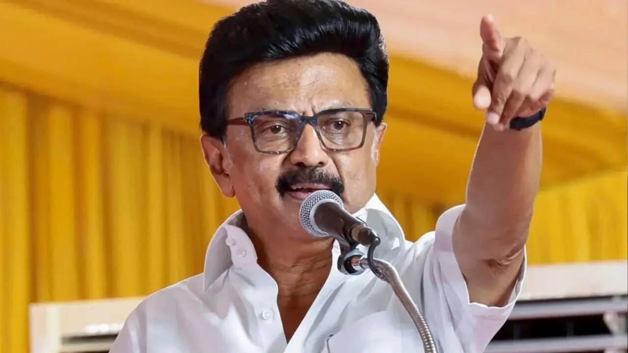 'You'll see a Tamil Nadu you have not seen before': CM MK Stalin warns of 1960s-like anti-Hindi stir if Centre pushes delimitation