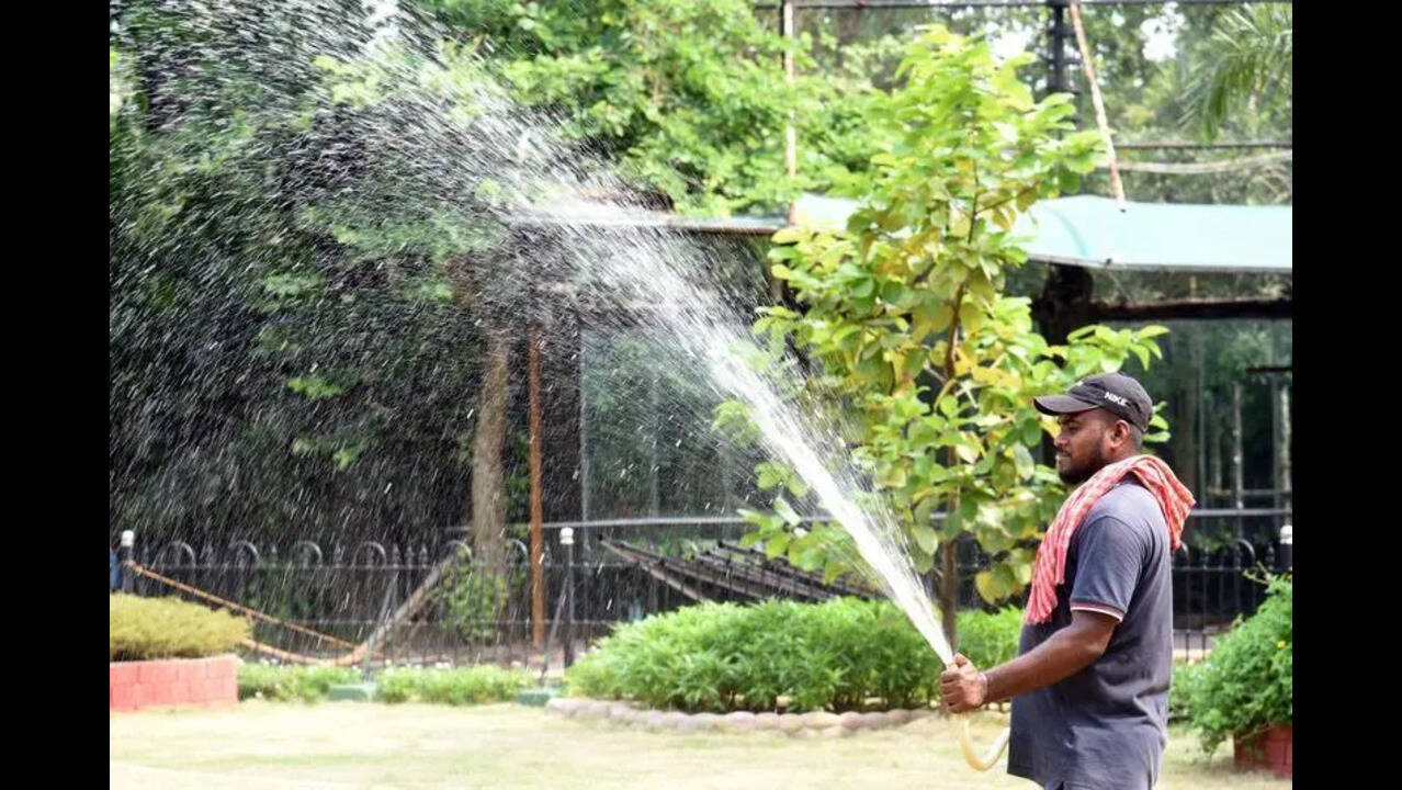 Heatwave alert issued for four Himachal districts