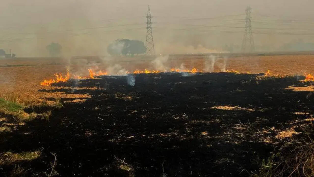 Punjab records 72 farm fires in 24 hours