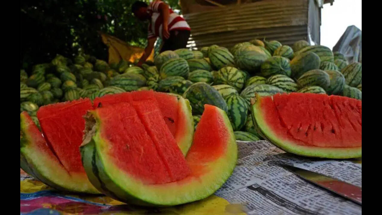 Mumbai deaths: Chandigarh food health dept starts random sampling of watermelons