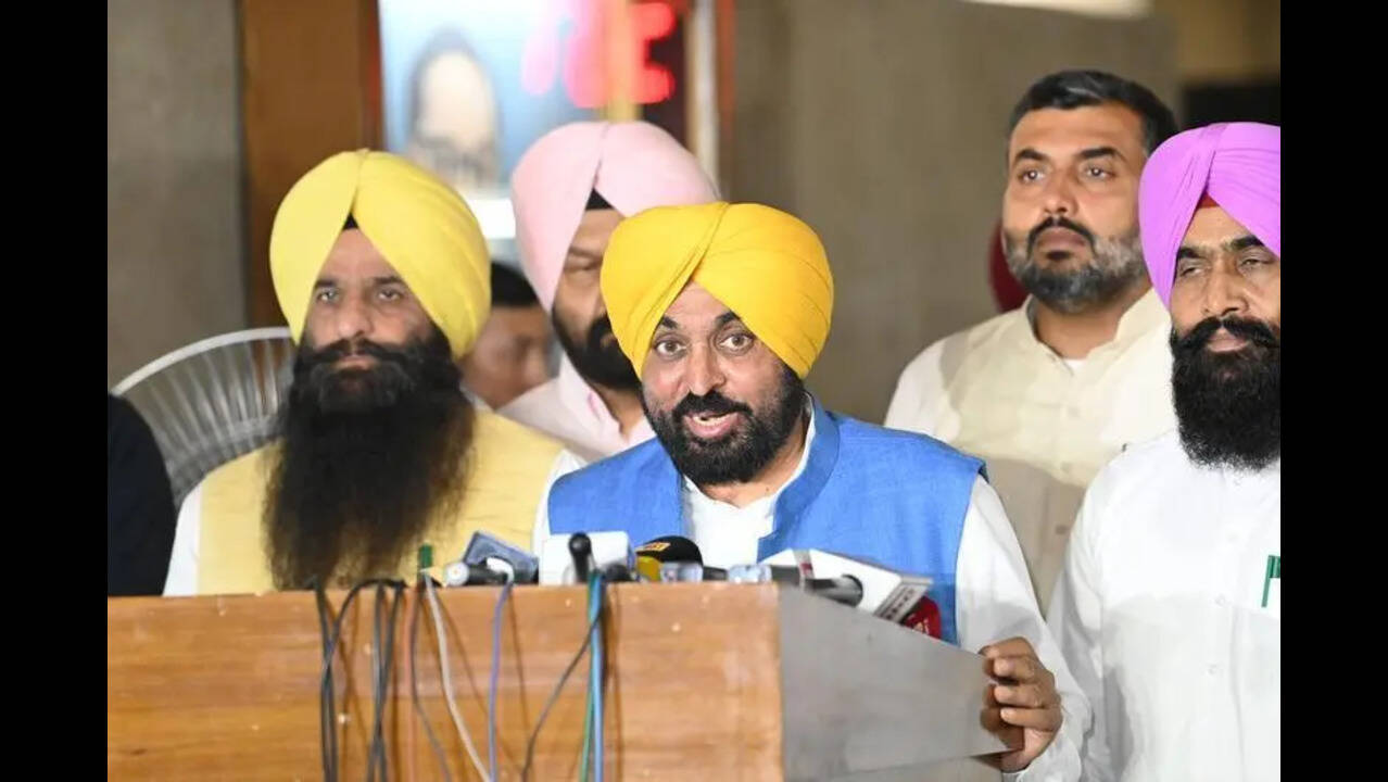 AAP govt wins trust motion in Punjab assembly; party united, says Mann